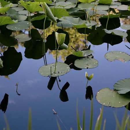 Villa Relais La Foleia - Luxury With Private Veruno