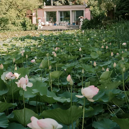 Relais La Foleia - Luxury With Private