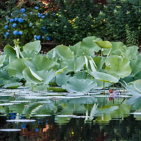 וילה Relais La Foleia - Luxury With Private *