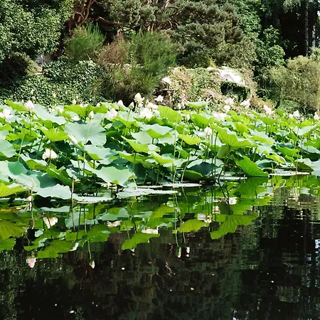 Relais La Foleia - Luxury With Private Villa Veruno