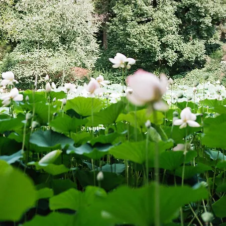 Villa Relais La Foleia - Luxury With Private Veruno