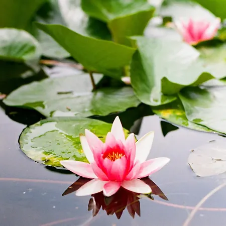 Relais La Foleia - Luxury With Private *