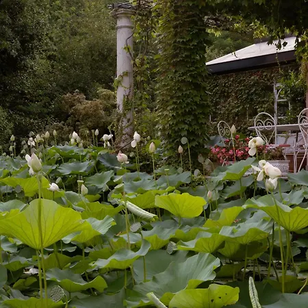 Relais La Foleia - Luxury With Private