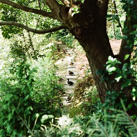 Villa Relais La Foleia - Luxury With Private Veruno