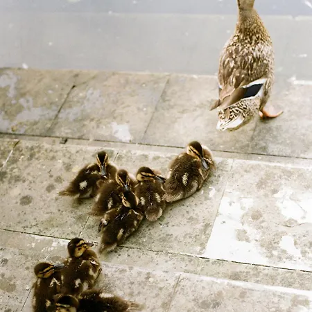 Relais La Foleia - Luxury With Private *