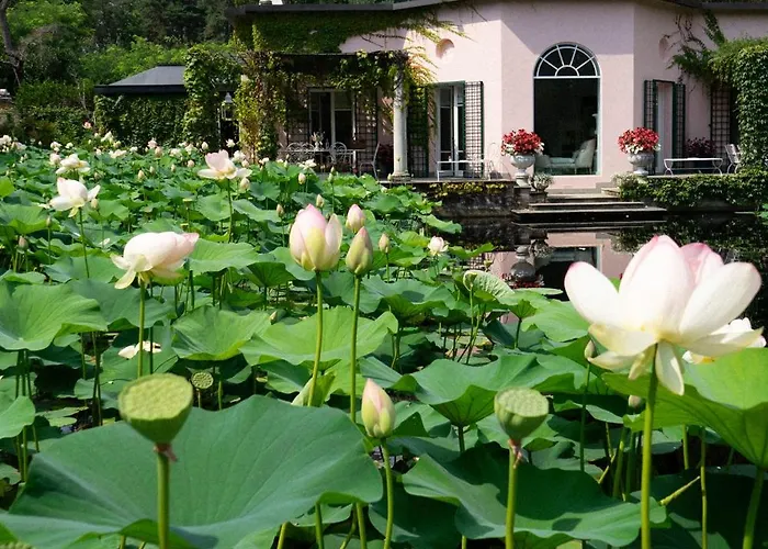 Villa Relais La Foleia - Luxury With Private