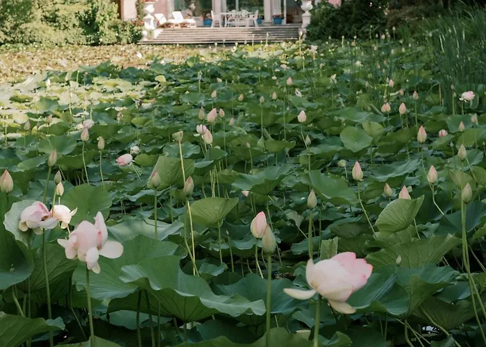 Relais La Foleia - Luxury With Private
