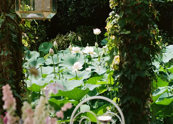Villa Relais La Foleia - Luxury With Private