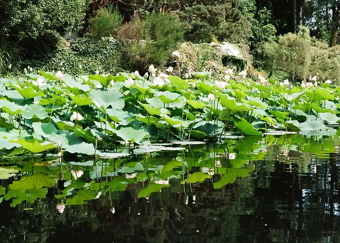 Relais La Foleia - Luxury With Private Villa Veruno